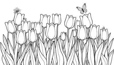 Una página para colorear de tulipanes delineados en blanco y negro con insectos y una mariposa.