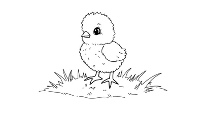 Placa de color de un pollito tierno de pie sobre hierba.
