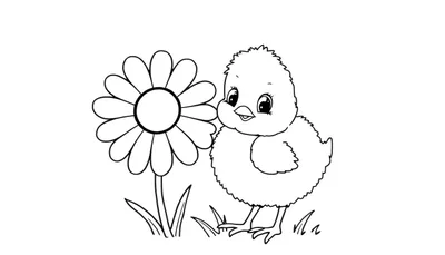 Placa de color: un pollito tierno picotea una flor amarilla.
