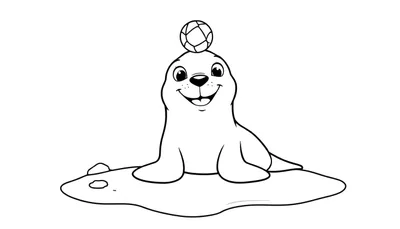 Placa de color: foca de dibujos animados jugando con una pelota en la cabeza.