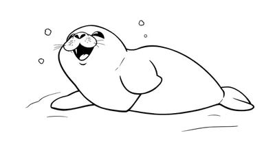 Placa de color de una foca bebé riendo.
