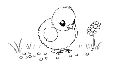Placa de color de un pollito adorable picoteando semillas junto a una flor.
