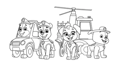 Placa de Paw Patrol para colorear con Marshall, Chase, Skye y Rubble junto a sus vehículos.
