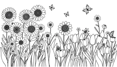 Una placa para colorear de un campo lleno de flores y mariposas.