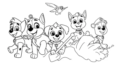 Dibujo para colorear de la Patrulla Canina con cachorros sonriendo y un pájaro, incluyendo una placa de color.