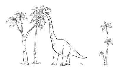 Dibujo para colorear de un dinosaurio de cuello largo sonriente comiendo de un árbol con varias palmeras alrededor.