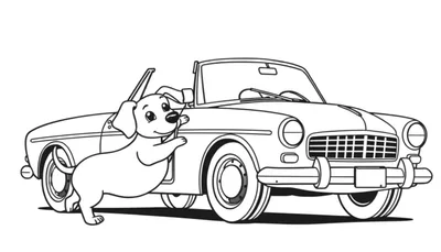 Página para colorear de un perro salchicha de historieta apoyado en un coche descapotable clásico blanco, con ruedas para colorear y el perro con orejas y cola manchadas.