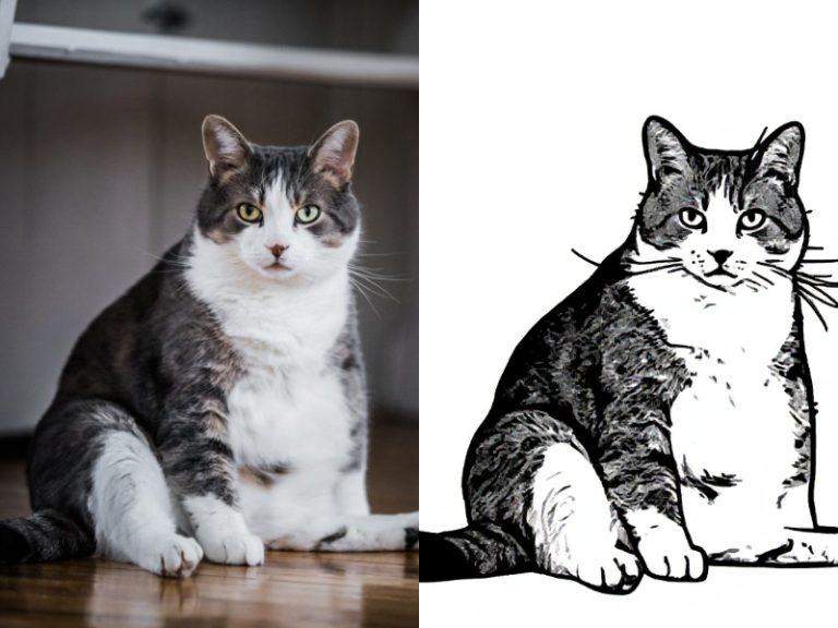Crea un Dibujo para Colorear de tu Propia Foto!