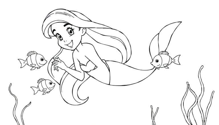 Placa de color de Ariel con peces.