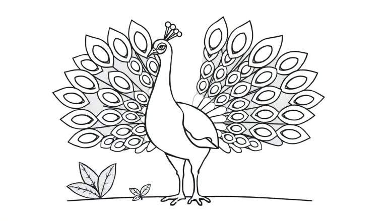 Dibujo para colorear de un pavo real orgulloso con su cola extendida, mostrando un patrón de placas de color.