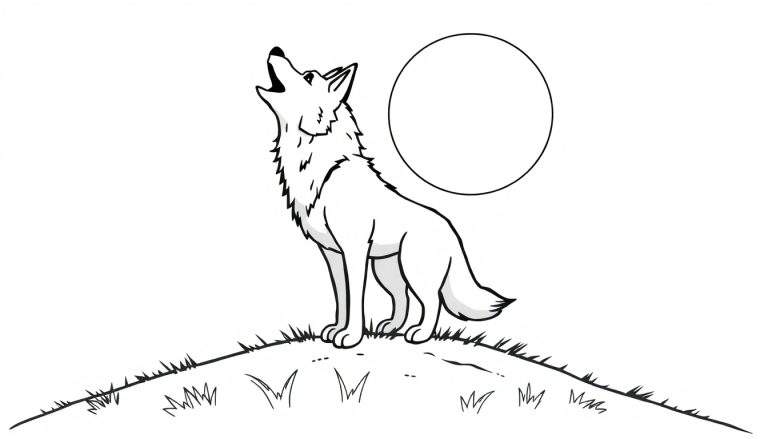 Un lobo aullando a la luna, listo para colorear, placa de color