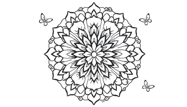 Placa de color mandala floral con mariposas para colorear.
