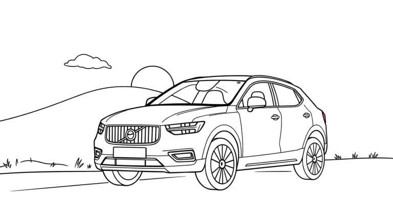 Placa de color de un Volvo XC40.