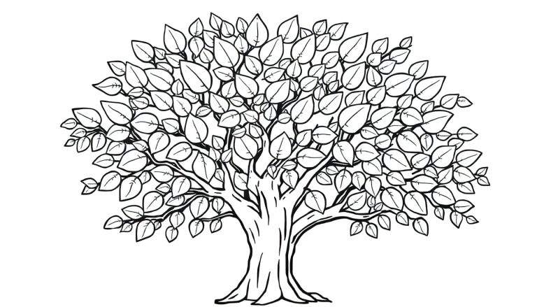 Un árbol amigable para colorear, con muchas hojas y ramas en blanco y negro para pintar.