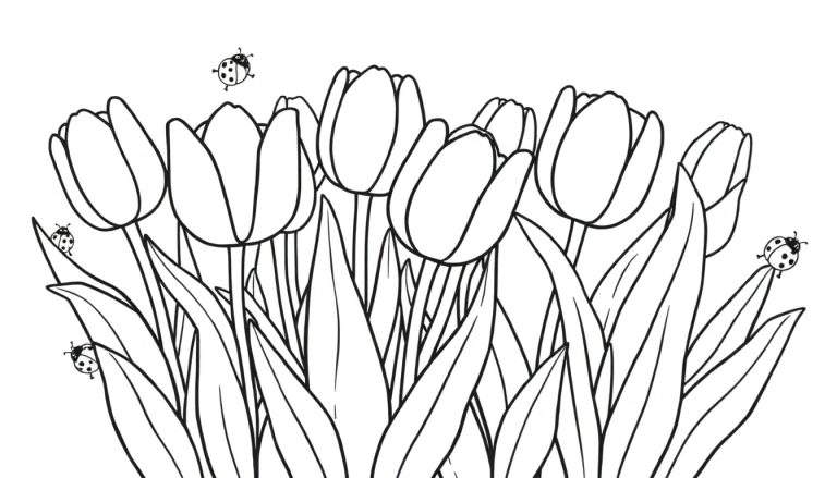 Página para colorear de tulipanes y mariquitas. Una placa de color para disfrutar.