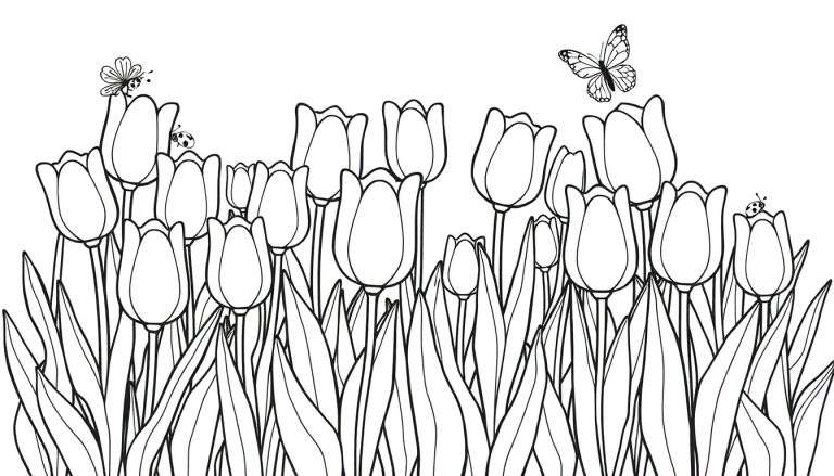 Una página para colorear de tulipanes delineados en blanco y negro con insectos y una mariposa.