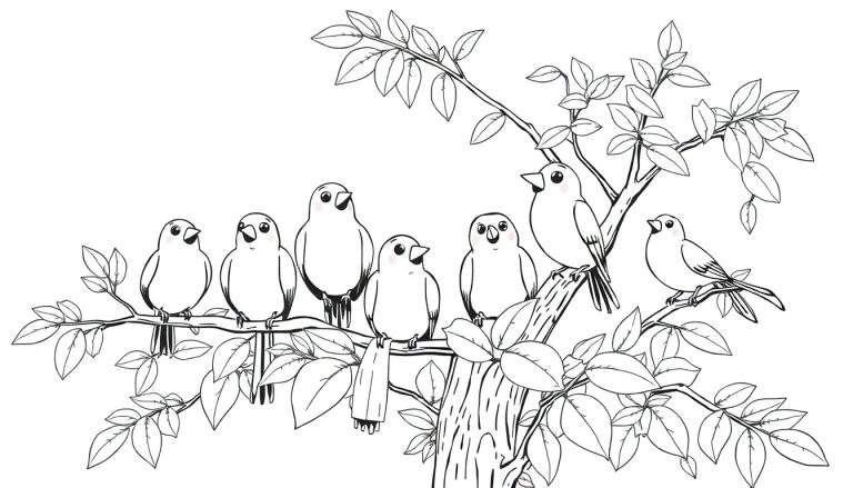 Placa de color de siete pájaros redondos posados en las ramas de un árbol frondoso, listos para colorear.